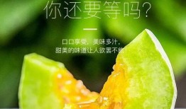 可以吃网红瓜的网站